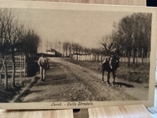TARCH SULLO STRADALE, ANDRA TARCHETTI FOTOGRAFO, VERCELLI E DINTORNO FT VG1908
