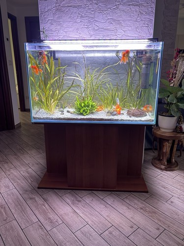 Acquario 300 litri - acquario,
