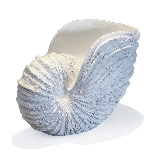 Scultura conchiglia nautilus - scultura,