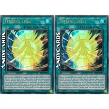 2x TERRENO ZEXAL • (Zexal