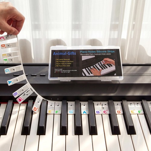Piano keyboard notes guide - keyboard,