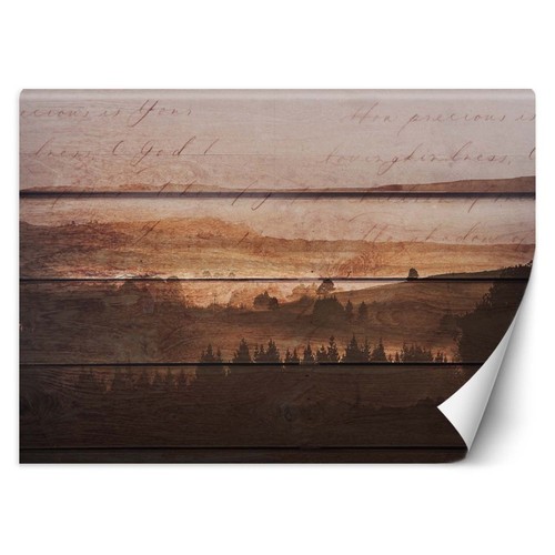 Carta parati foresta - foresta, su
