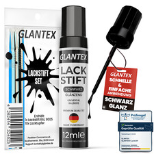 Pennarello vernice professionale nero lucido set tampone vernice auto rimozione graffi vernice cerchio