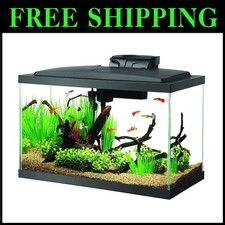 Kit acquario in vetro con