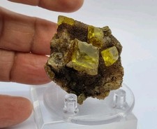 Minerali◇Zolfo Bituminoso