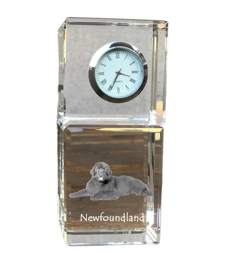 Terranova cane con orologio - , al