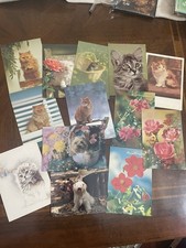 Lotto cartoline vintage gatti