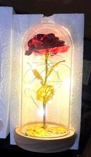 Rosa Eterna Bella e la Bestia