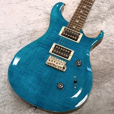 Paul Reed Smith PRS SE Custom