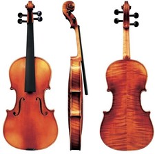 Violino - Violino Maestro 6 -