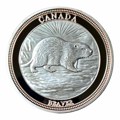 Canadian beaver maple - -,