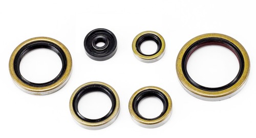 Kit guarnizioni olio motore