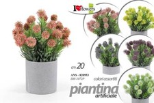 PIANTA PIANTINA FINTA