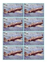 macchi 202-205 photoetched