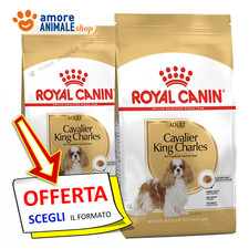 Royal Canin Dog → Adult