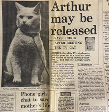 Vintage 1969 Arthur the