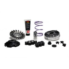 Variatore Malossi MULTIVAR MHR