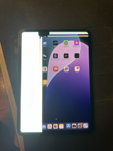 Apple ipad pro - 11, 2024