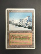 MTG TAIGA EXCELLENT FWB ITALIAN DUAL LAND #3