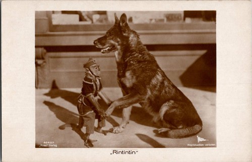 Cartolina rin tin - tin, pastore