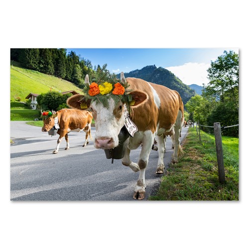 Postereck 3849 poster tela