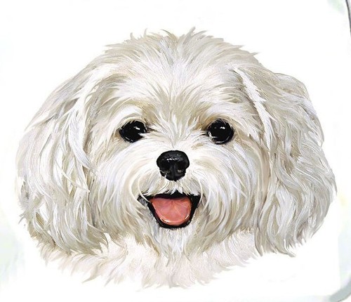 Borsa tote maltese - , taglio