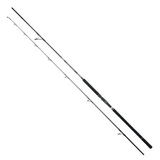 Canna Daiwa 25 Saltist X SJ