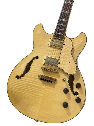 Chitarra elettrica ibanez - elettrica,