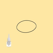 Cinghia olio = kit 5 per