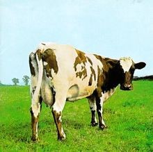 Atom Heart Mother von Pink