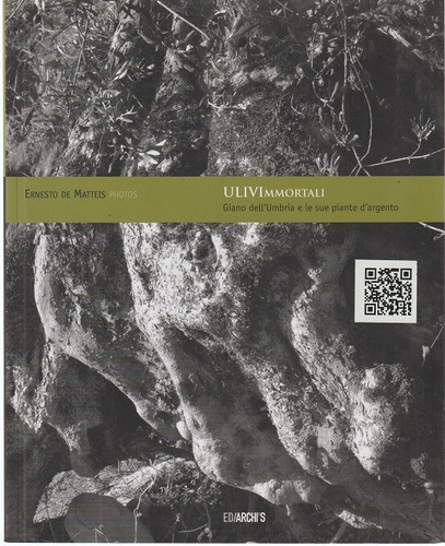 Ulivimmortali giano - ulivimmortali,