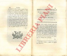 BAJON -  Descrizione d'un pesce che dà la scossa elettrica, conosciuto a Cayenn
