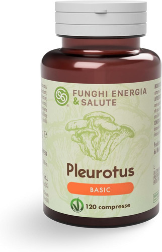 Pleurotus basic - pleurotus,