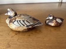 Coppia Di Anatre Papere Knipa