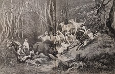 Stampa 19esimo Doppia Pagina