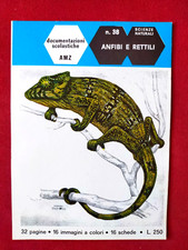 ANFIBI E RETTILI - DOCUMENTAZIONI SCOLASTICHE AMZ n° 38 anno 1968