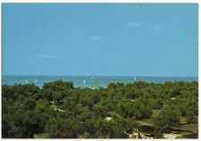 VADA - LIVORNO - CAMPING