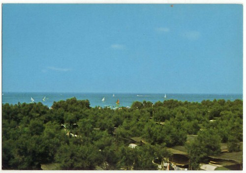Vada livorno camping - -,