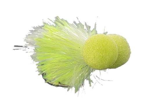 Mosche jelly booby - jelly,