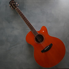 Chitarra acustica elettrica