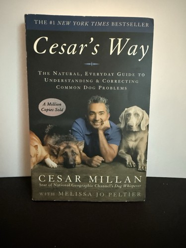 Cesar way guida - cesar’s,