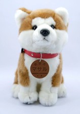 Akita Inu cane giapponese