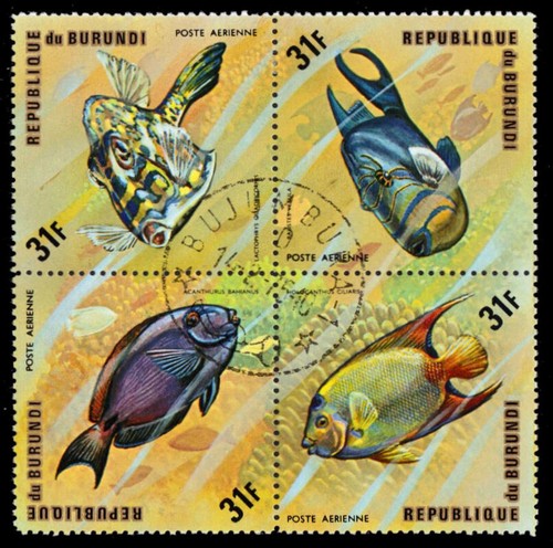 Burundi c212 pesce africano - c212,