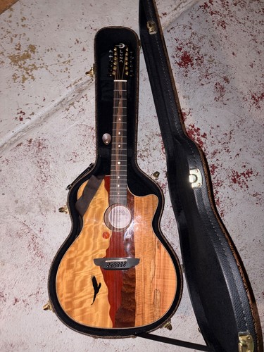 Chitarra elettrica acustica