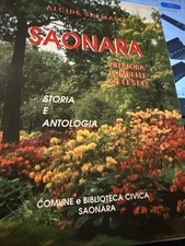 SALMANSO ALCIDE SAONARA