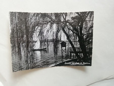 cartolina lago di Viverone