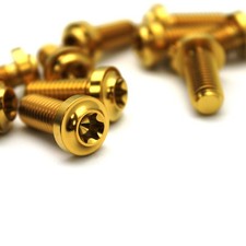 10 viti disco freno in titanio