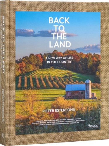 Back the land new - back, way