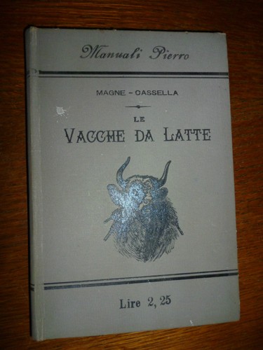 Magne vacche latte - magne,