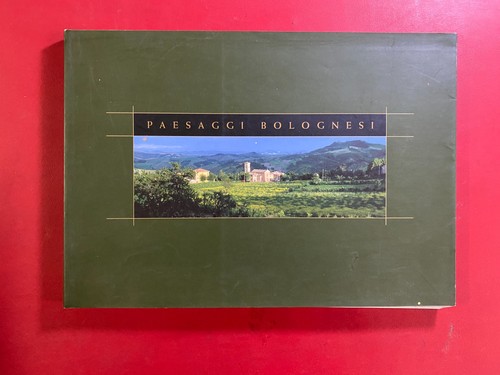 Mario vianelli paesaggi - vianelli,